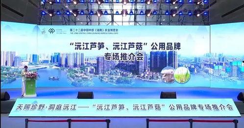 沅江新闻爆料网最新消息,最新爆料揭示惊人内幕！