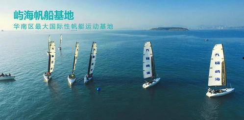 海屿最新爆料事件,揭秘事件背后惊人真相