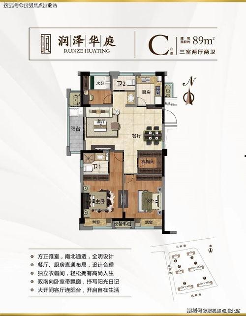 猫之城最新爆料视频网页,最新爆料视频带你探秘神秘猫界
