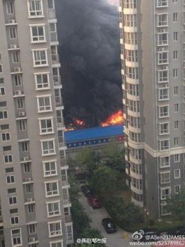 石家庄谈固最新爆料,石家庄城区发展新动向揭秘